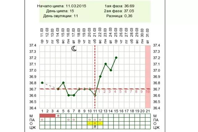 Как узнать что овуляция наступила