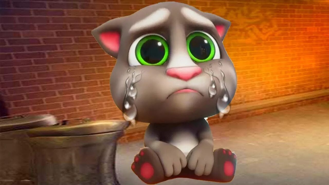 Маленький котик том. Talking Tom Cat. Кот том 2. Говорящий том 2 игра.