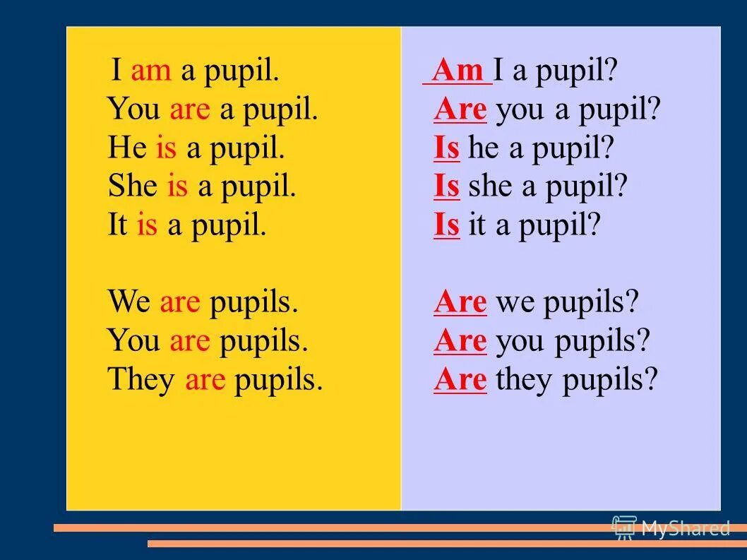 вопросы is it is he she. Are you a pupil ответ на английском. What do you want to be презентация. I am a better pupil. Clever мультяшный.