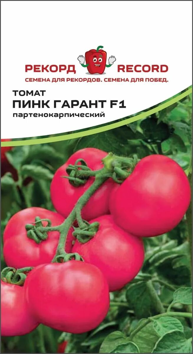 томат пинк гарант характеристика отзывы. пинк гарант саката пакет 500 семян томатов. томаты пинк гарант f1 агротехника. томат пинк гарант характеристика отзывы. помидоры пинк гарант f1.