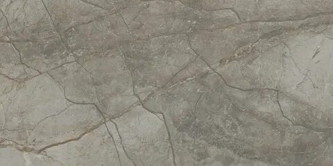 Сильвер натуральный 60x120 cm
