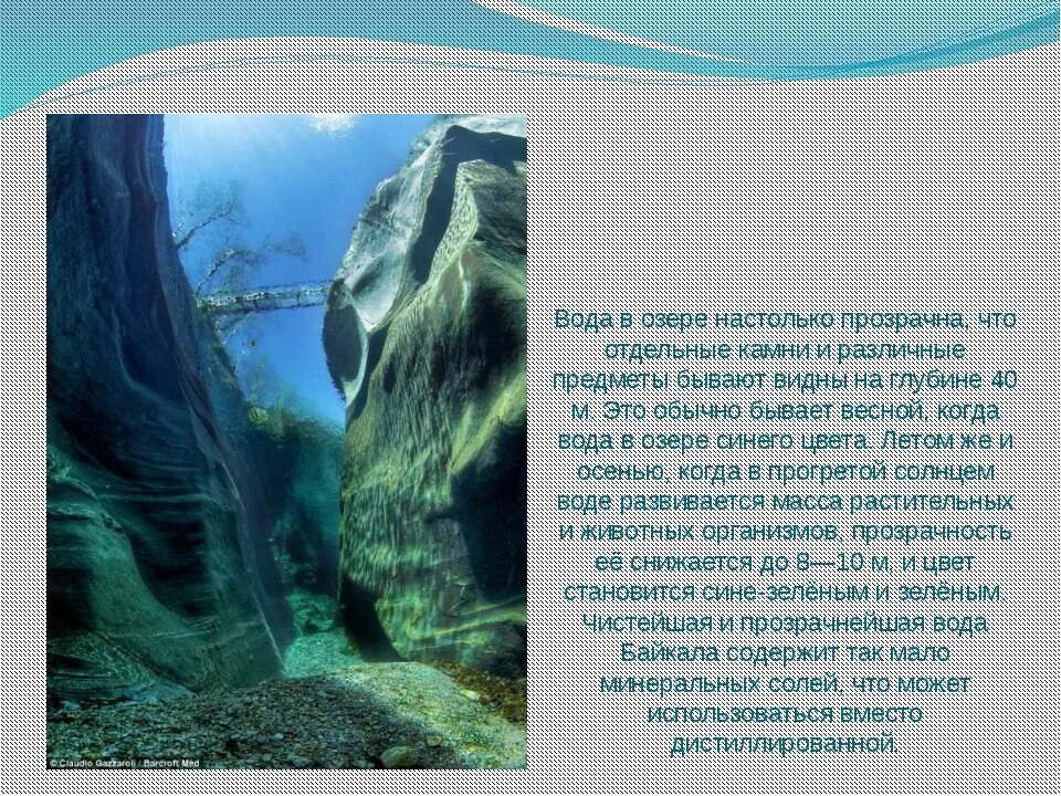 Сообщение о Байкале. Байкал доклад. Презентация про Байкал для дошкольников. Интересные факты о Байкале. В глубине были видны