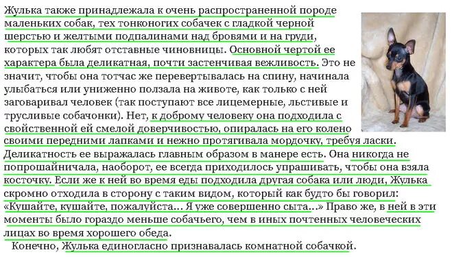 Рассказ Барбос и Жулька описание собак. Барбос и Жулька рассказы о собаках. Описание Жульки. Описание собаки Жульки.