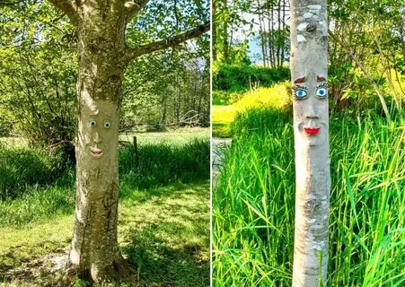 Такой зачет на деревьях не