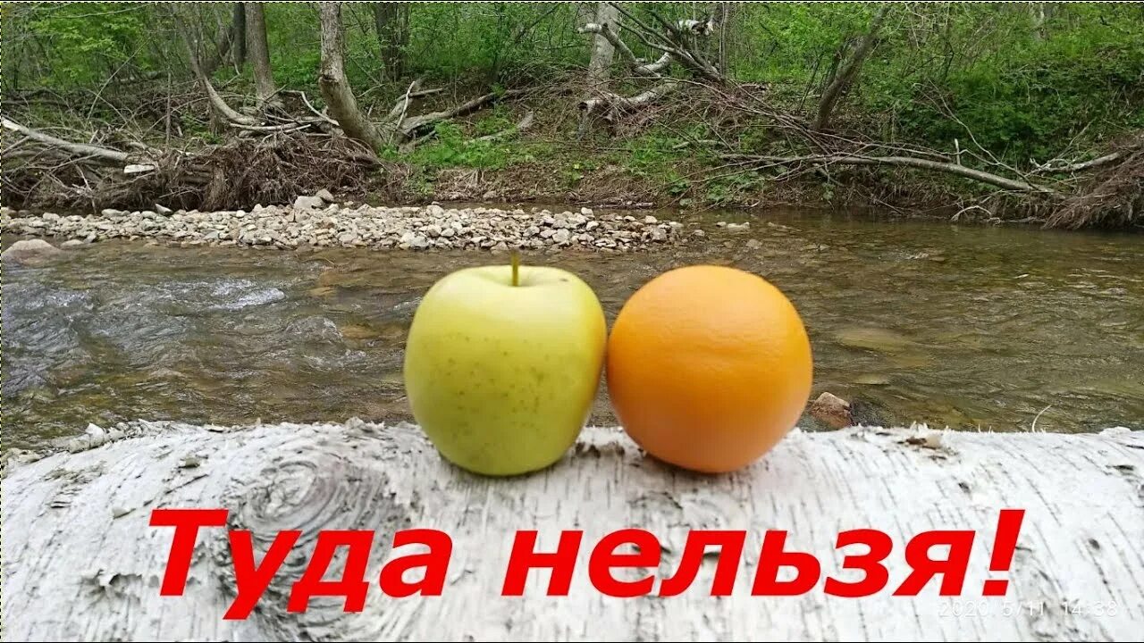 Песня туда нельзя. Туда нельзя сюда. Туда нельзя сюда нельзя никуда нельзя. Туда нельзя сюда нельзя песня. Стой туда нельзя.