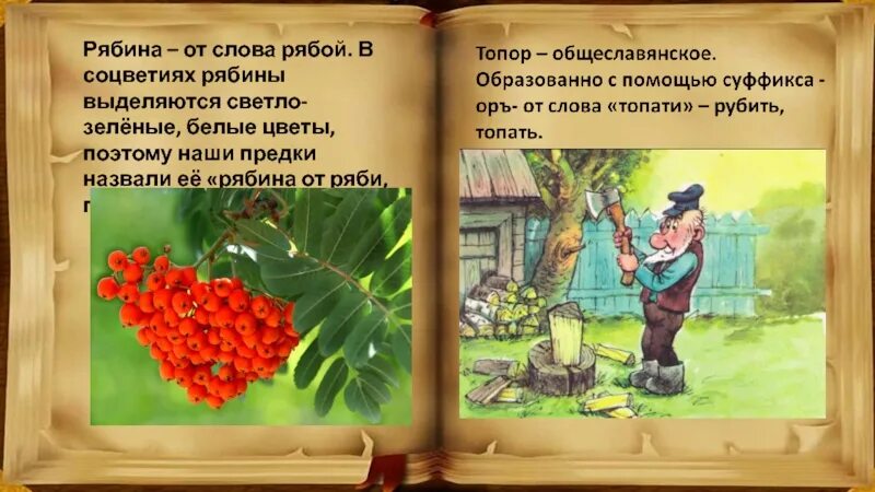 Глагол от слова рябина. Рябина этимология слова. Происхождение слова рябина. Рябина слова. Этимологическое слово рябина.