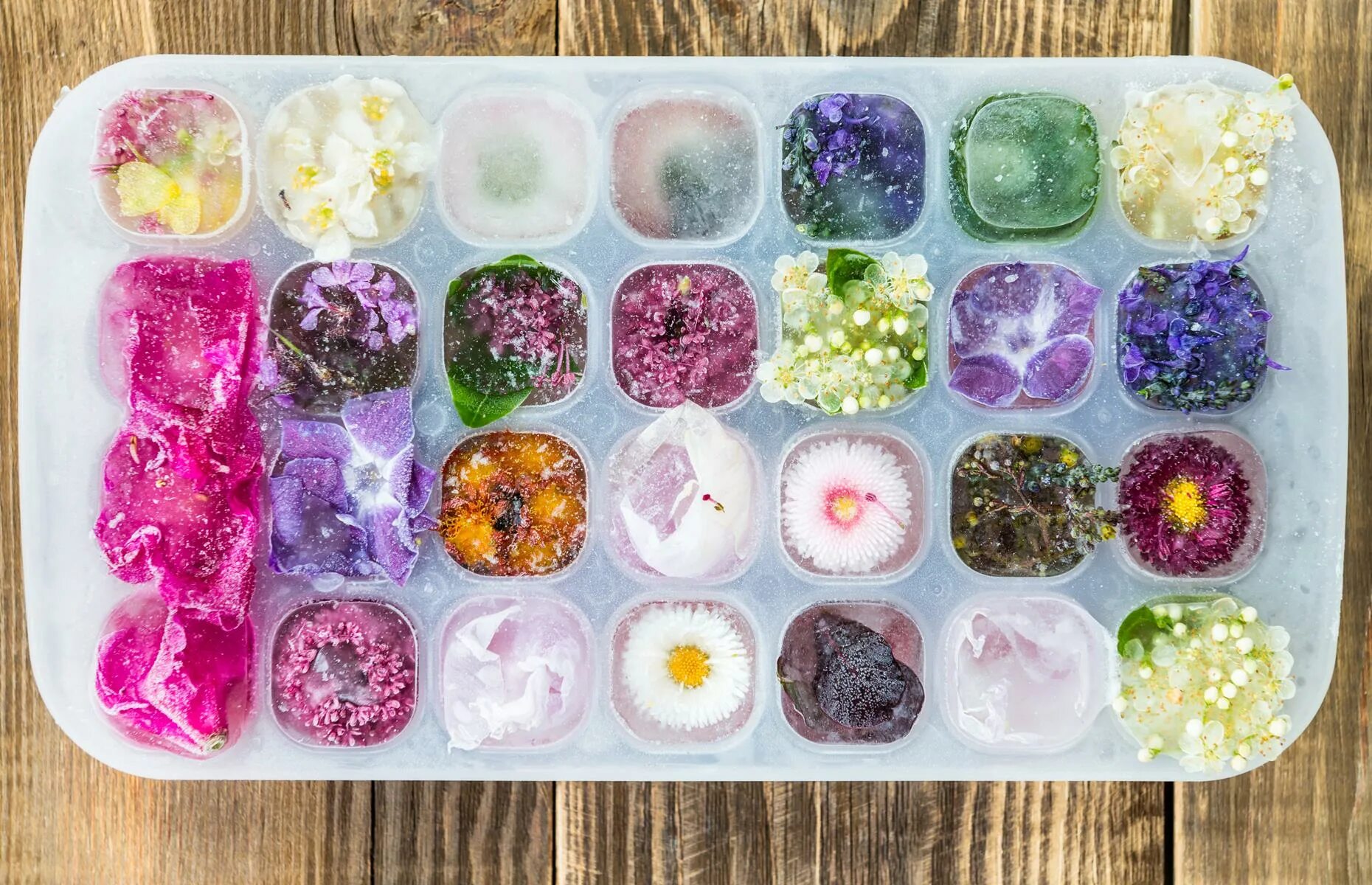 Можно ли заморозить цветы. Лед с цветами внутри. Цветы в кубиках льда. Кубики льда с цветами внутри. Съедобные цветы на мороженом.