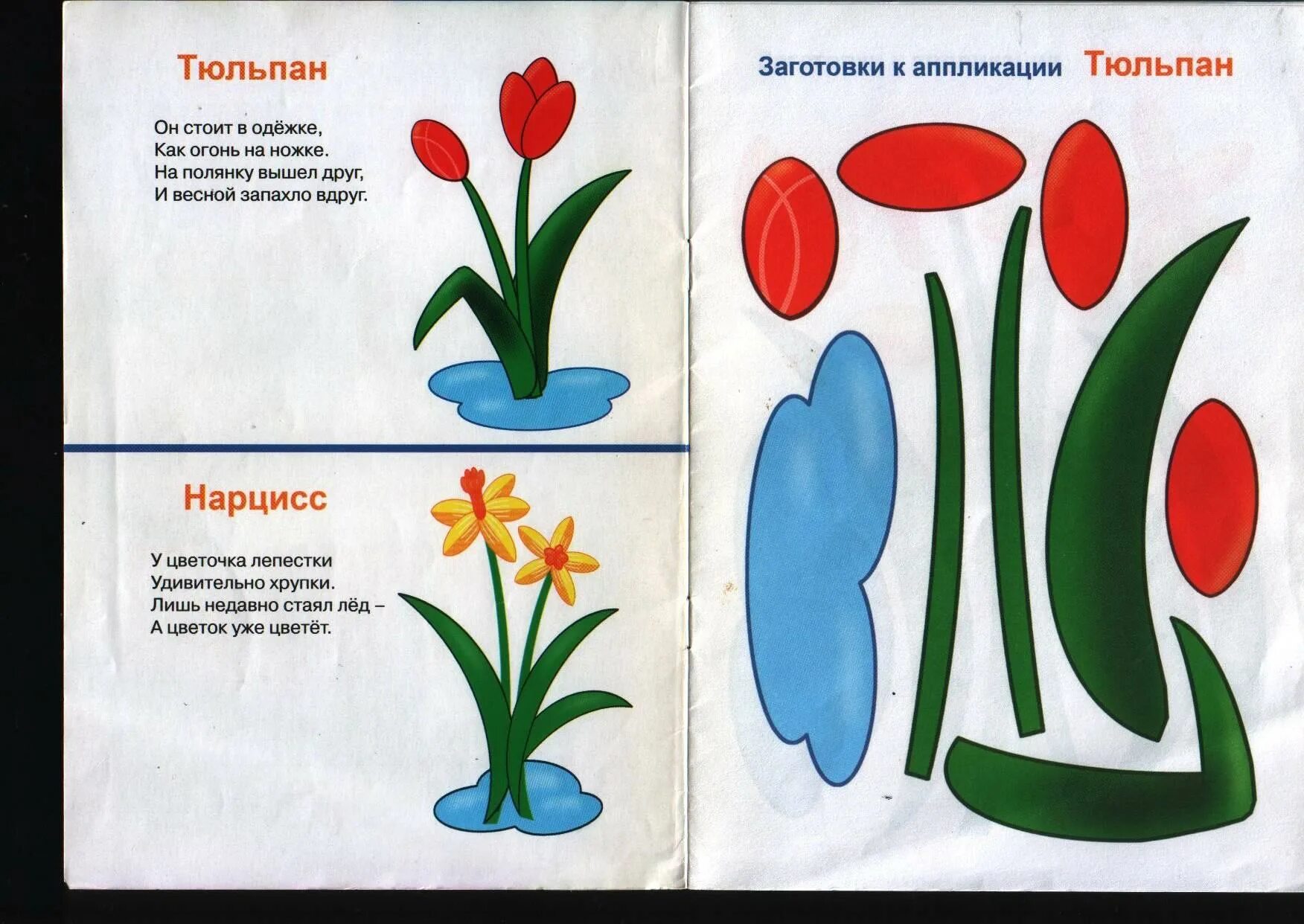 Занятие март средняя группа. Аппликация. Аппликации для детей. Аппликация на тему цветы. Аппликация для детей 3-4.