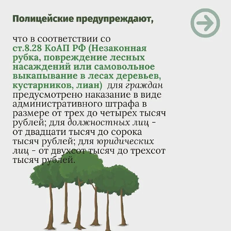 Меры по предотвращению вырубки лесов. Вырубка дерева ответственность. Вырубка дерева ответственность. Незаконная рубка лесных насаждений. Вырубка дерева ответственность.