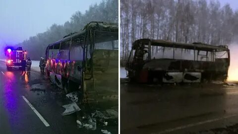Ломоносов гостилицы автобус