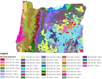Plants map
