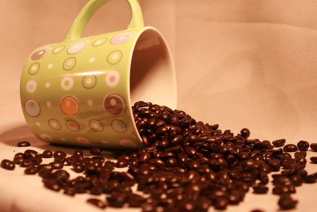Spilling the Beans. Spill. The Beans pics. Spill the Beans idiom.