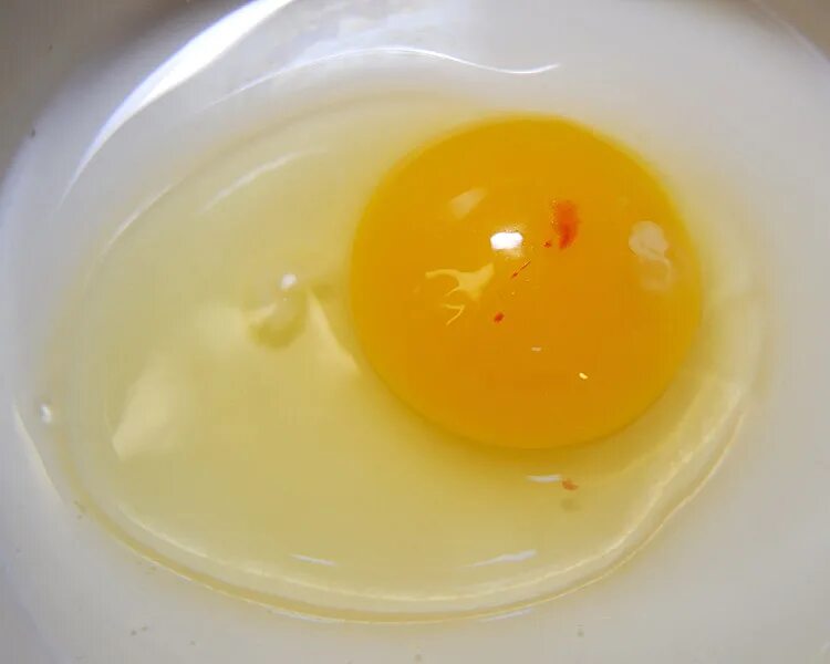 витамины в вареном желтке. в яичном белке есть белок. белок яйца с зеленоватым оттенком. почему яичный. яйца очищенные.