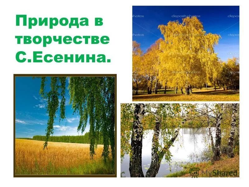 край любимый есенин. ". крайюбимый! се6рдцу снятся. с. край любимый сердцу снятся есенин конспект урока.