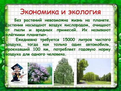 Про экологию детям 3 класс