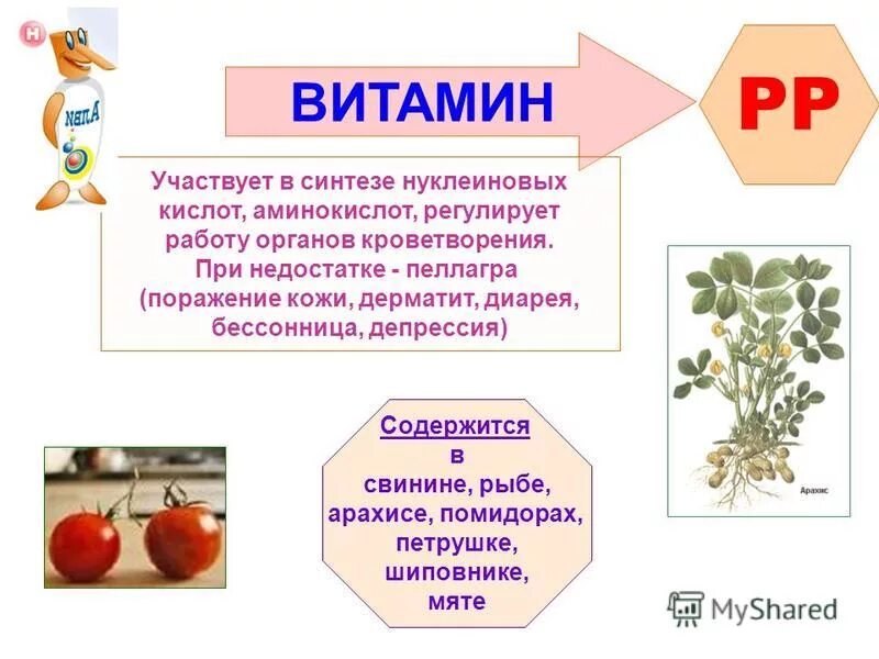 Значение витаминов для организма человека. Что такое витамины. Витамины значение для организма. Важность витаминов для организма. Значение витаминов.