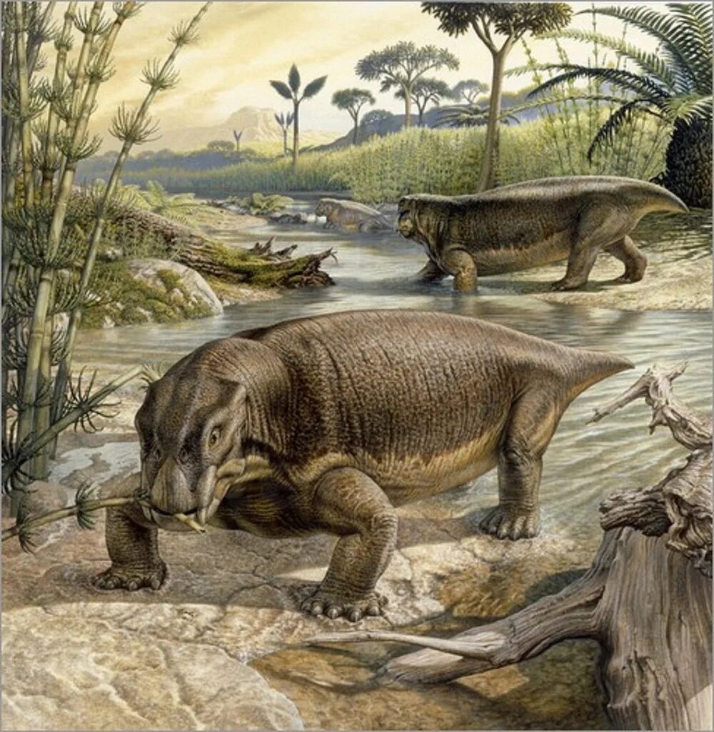Вымершее пресмыкающееся 9. Джон Сиббик палеохудожник. Палеозойская Эра Триасовый период. Листрозавр Триасового периода. Листрозавры (Lystrosaurus),.