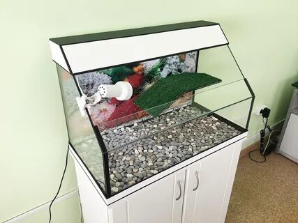 Аквариум для черепахи