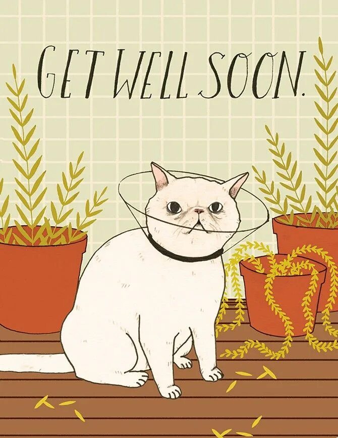 Soon cat. Get better котик. Soon мем. Sooner meme. Soon прикол.