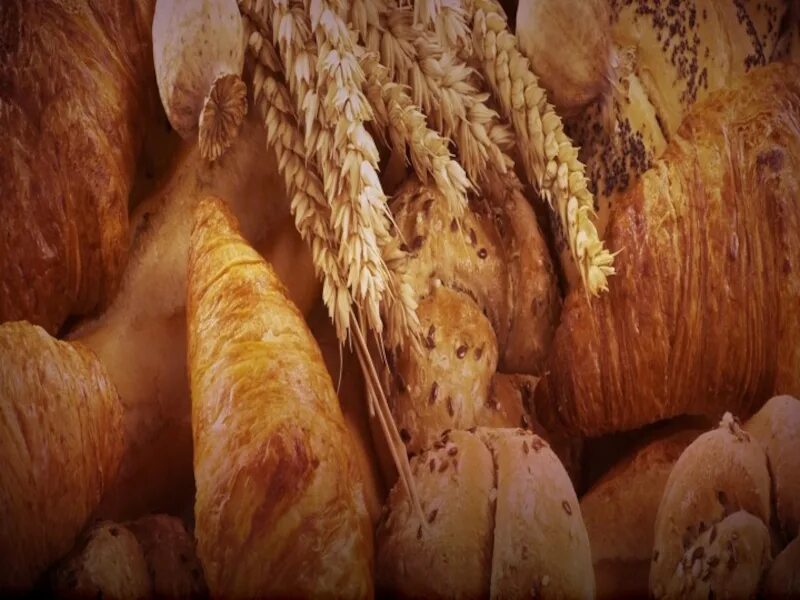 Пусть будет хлеб на столе. Земля хлебами. Красивый хлеб. Хлеб в поле. Земля хлебами.