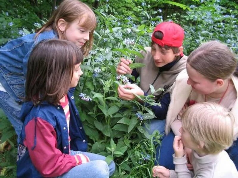 Экологические уроки в школе. Экскурсия на природу. Экологическое воспитание. Школьники на природе. Экологическое образование.