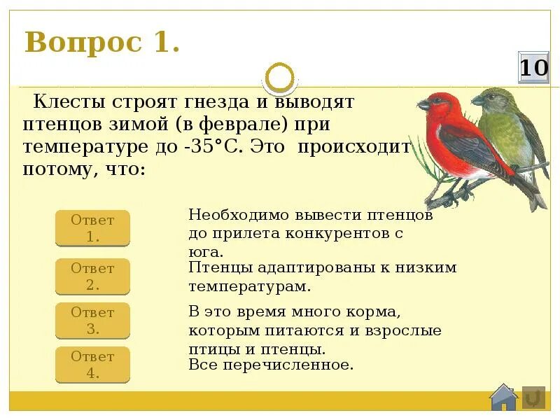 Птенцов падеж. Клест выводит птенцов зимой. Интерактивная игра про птиц. Почему клесты выводят птенцов зимой. Вывести птенцов.