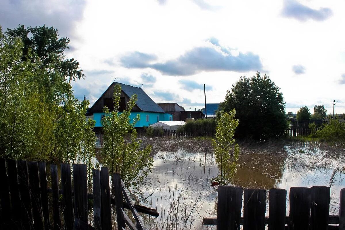 погода в сорокино г бийска