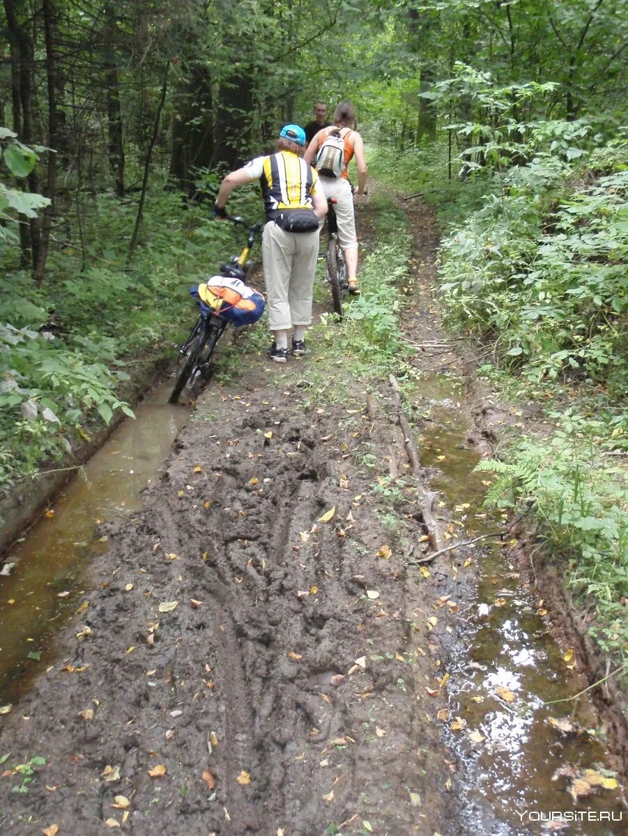 Гатчина парк зверинец экотропа. Босоногая экотропа в лосином острове. Лосина тропа. Балашиха тропа босоногая лосиный остров. Тропа босиком лосиный остров.