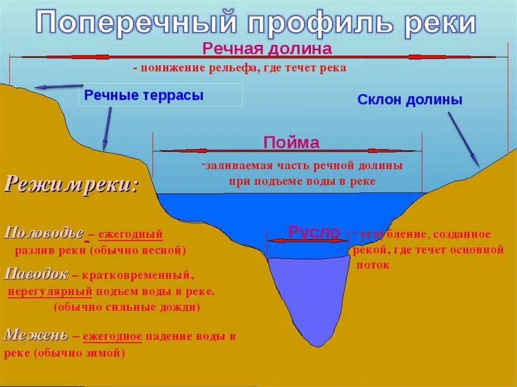 Речные воды относятся к. Поперечный профиль Речной Долины схема. Русло Пойма Речная Долина. Поперечный профиль русла реки. Русло Пойма терраса Речная Долина.