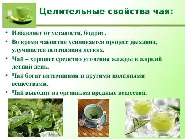 Чем полезен зеленый чай для организма. Полезные свойства чая. Лечебный зеленый чай. Полезные качества зеленого чая. Чем полезен зеленый чай.