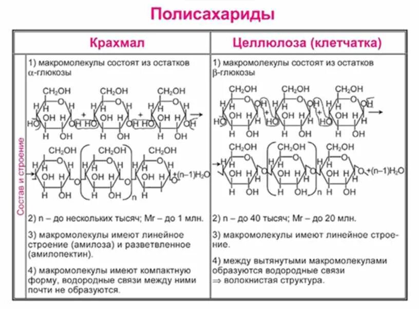 Полисахариды крахмал и Целлюлоза. Углеводы формула полисахариды. Химическая структура полисахаридов. Химические свойства крахмала и целлюлозы таблица. Сходства и различия крахмала и целлюлозы