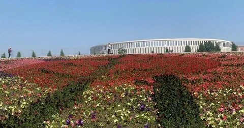Розовый парк в краснодаре где