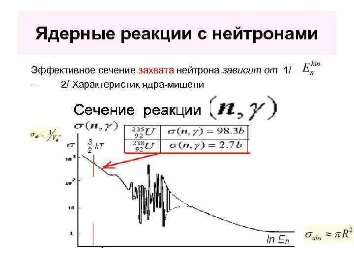 Сечение захвата нейтронов. Эффективное сечение ядерной реакции. Сечение взаимодействия нейтронов. Эффективное и дифференциальное сечение ядерного взаимодействия.. При захвате нейтрона ядром 27