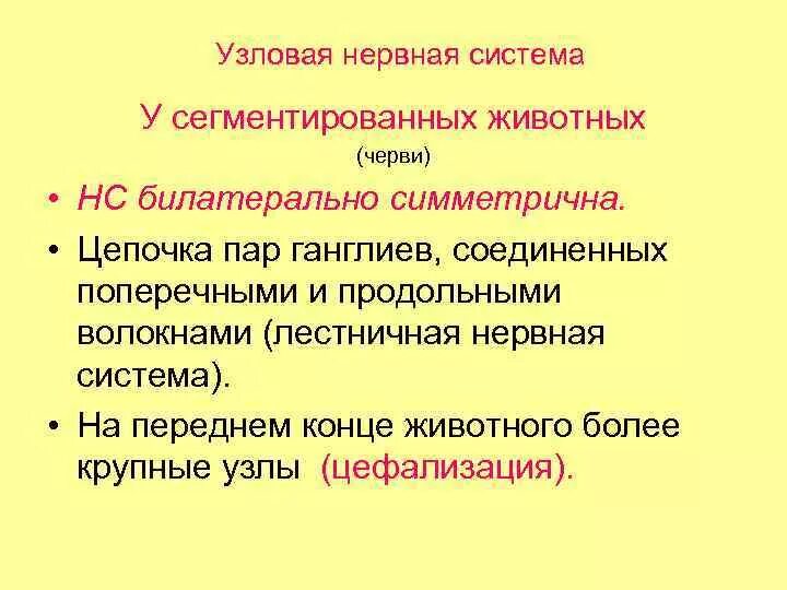 Узловая нервная система, или сложная ганглионарная система. Узловая нервная система насекомых. Нервная система моллюсков. Узловая нервная. Узловая нервная.