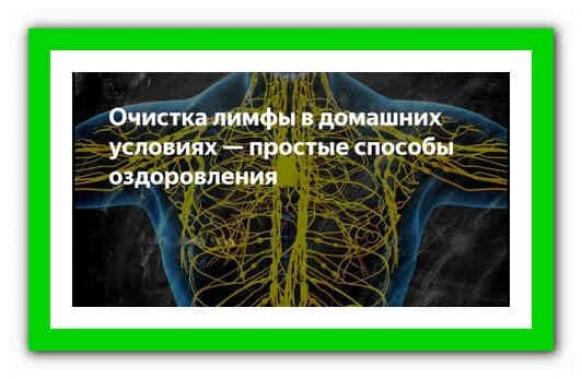 Матрица гаряева очищение лимфы. Чистка лимфатической системы организма. Чистка лимфы. Чистка лимфы. Препараты для очищения лимфосистемы.