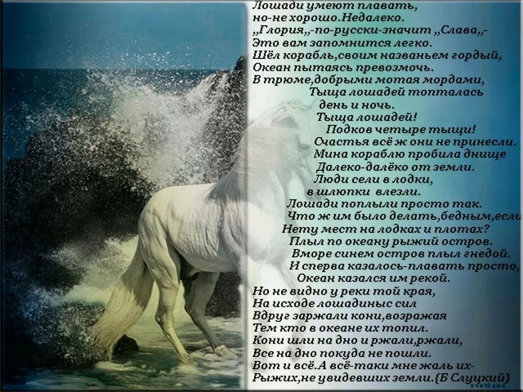 Лошади поэзия. Стих лошади в океане Слуцкий. Стихотворение. Лошади в океане стих текст.