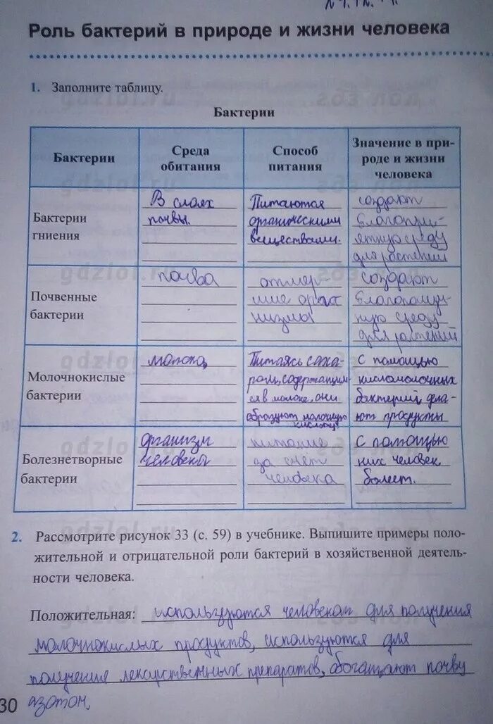 биология 5 класс параграф 10 заполнить таблицу