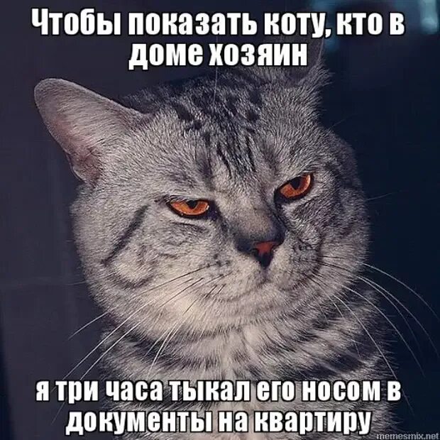 Неграмотно написано
