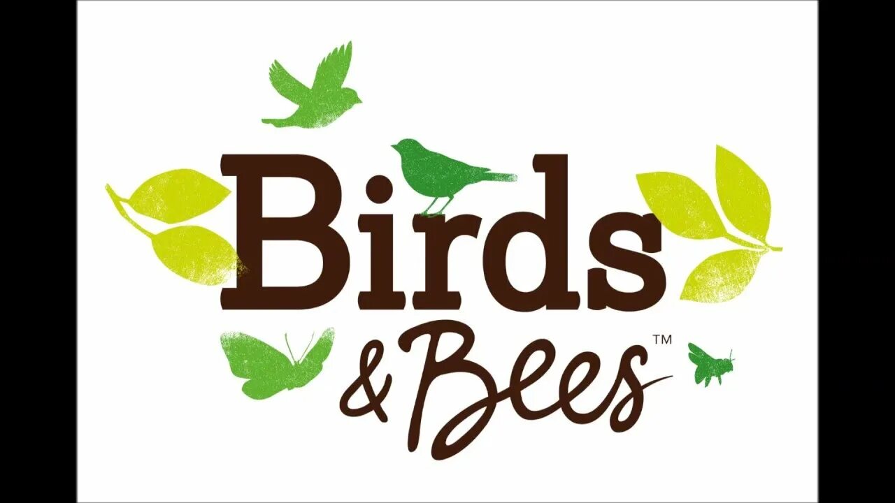 Birds and bees. The Bird and the Bee. Of Birds and Bees game. What are the Birds and the Bees.