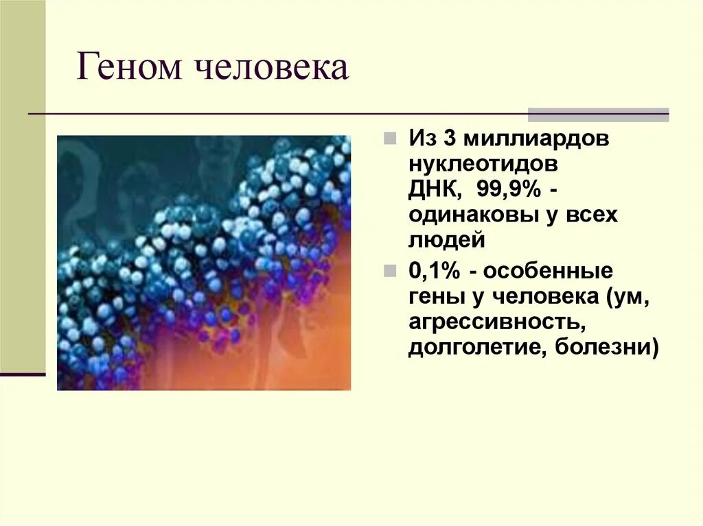 Геном человека определить. Геном человека. Геном человека презентация. Ген для презентации. Гены человека.