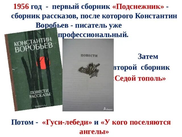 Седой тополь читать. Седой тополь презентация. седой тополь рассказ. седой тополь воробьев презентация.