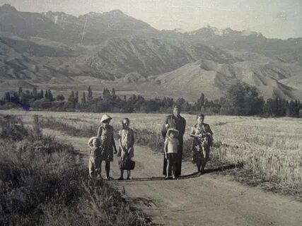 Старый кули