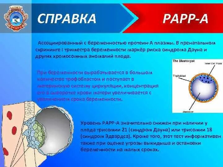 Белок ассоциированный с беременностью. Белок, ассоциированный с беременностью плазменный протеин а (РАРР-А). Протеин а ассоциированный с беременностью. Ассоциированный с беременностью протеин а РАРР-А. Плазменный протеин а ассоциированный с беременностью.