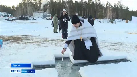 Вести курган вечерний выпуск