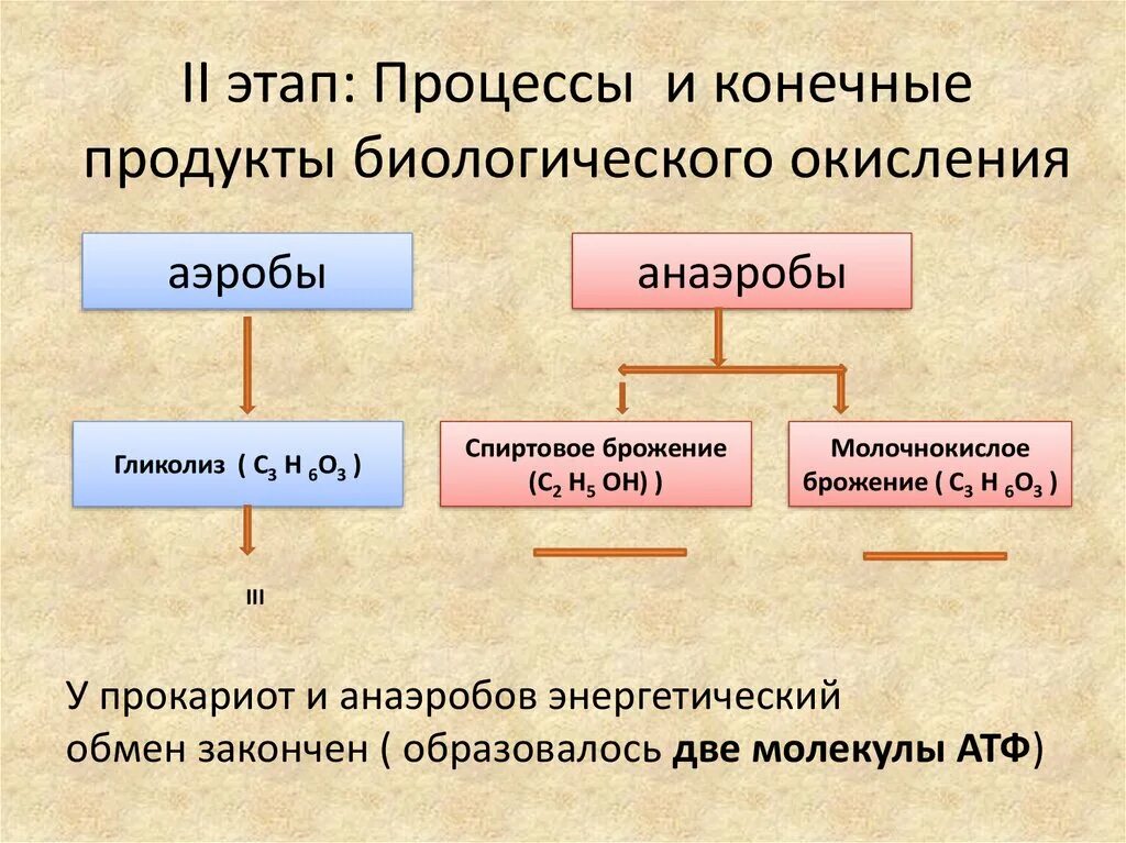 Конечные продукты биологического окисления. Анаэробы конечные продукты окисления. Энергетический обмен у анаэробов. Этапы энергетического обмена.