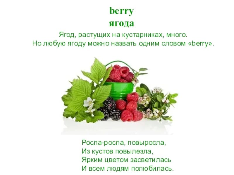 Окончание слова ягода. Реклама ягод. Дубки дубы Ягодка ягоды. Ягодный букет со словами. Привычка ягода текст.