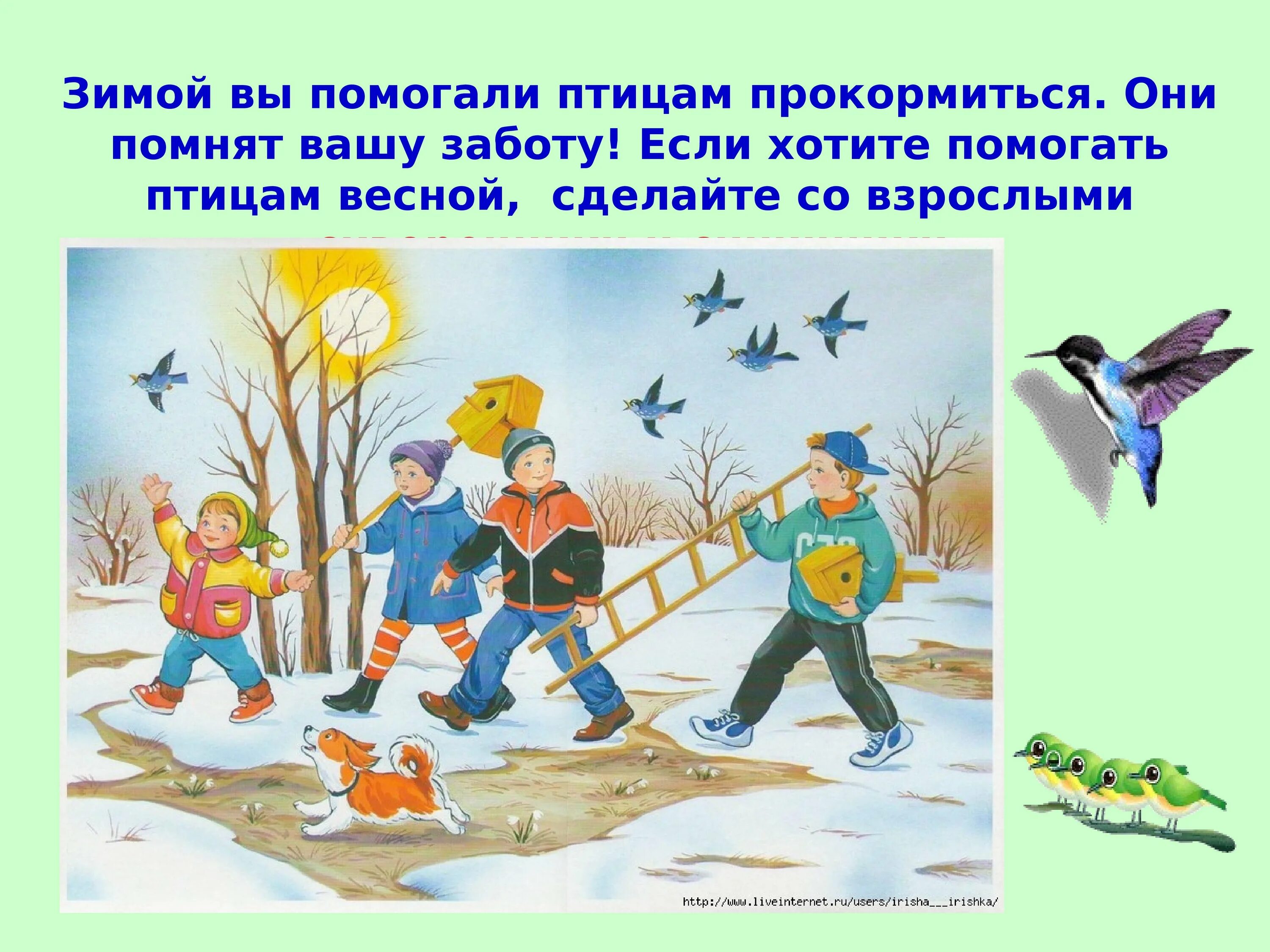Там где клён шумит текст песни. Стережет голубую русь старый клен на одной ноге. Клен текст песни. Стихи барто. Желтогрудый скворец.