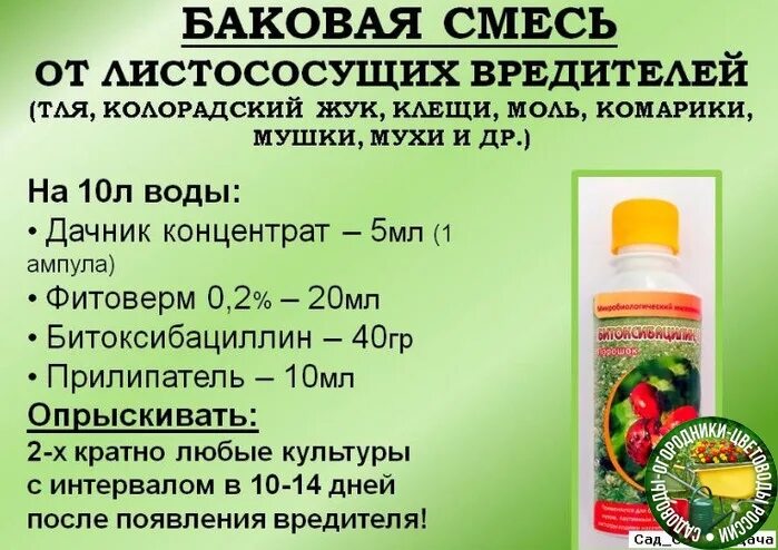 Список инсектицидов для растений. Баковые смеси. препараты для обработки сада. баковые смеси для растений. препараты для обработки сада от вредителей.