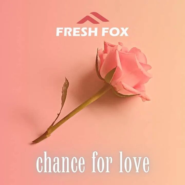 Fresh fox. Fresh Fox - chance for Love. The Price of Fresh Fox.