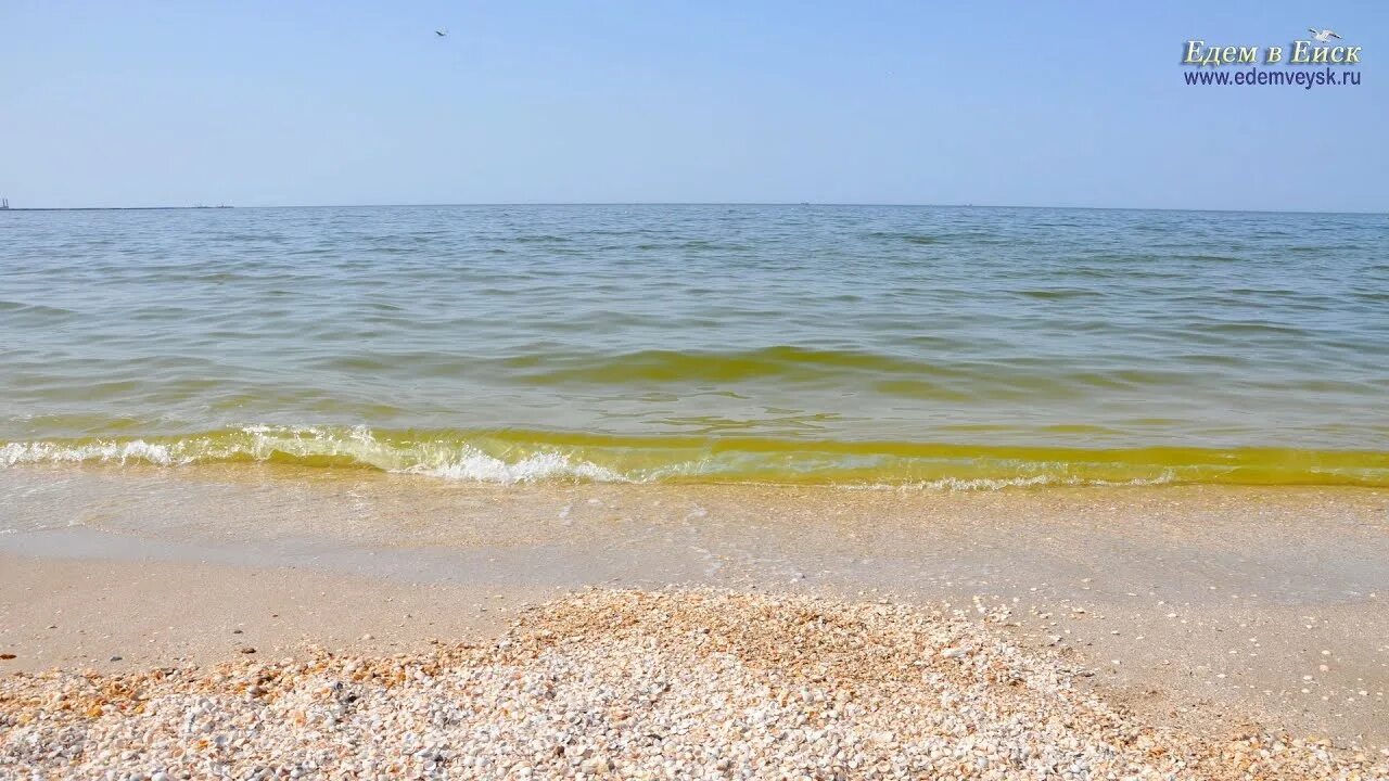 Стоит ли ехать в ейск. Ейск Азовское море Центральный пляж. Курорты Азовского моря 2020 Ейск. Пляж Кармен Ейск. Центральный пляж Азовском море Ейск 2021.